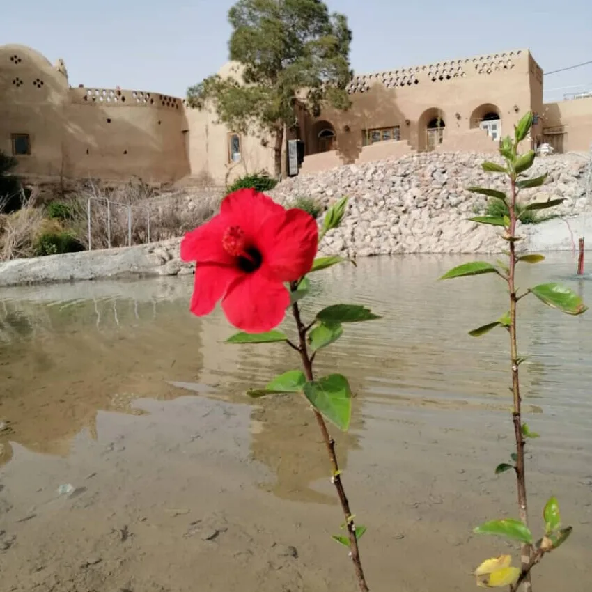 اقامتگاه بوم گردی حسین میرزا
