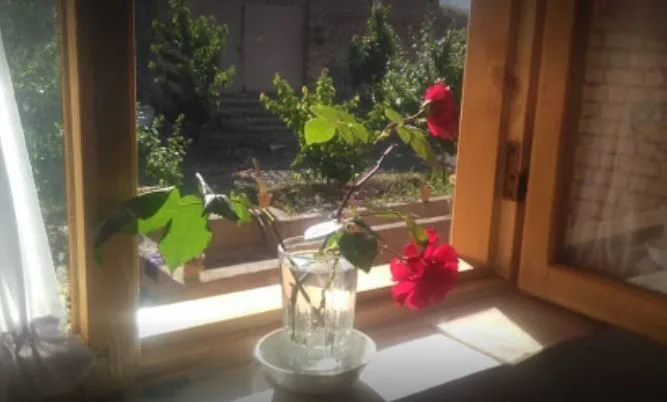 اقامتگاه بوم گردی بوژان